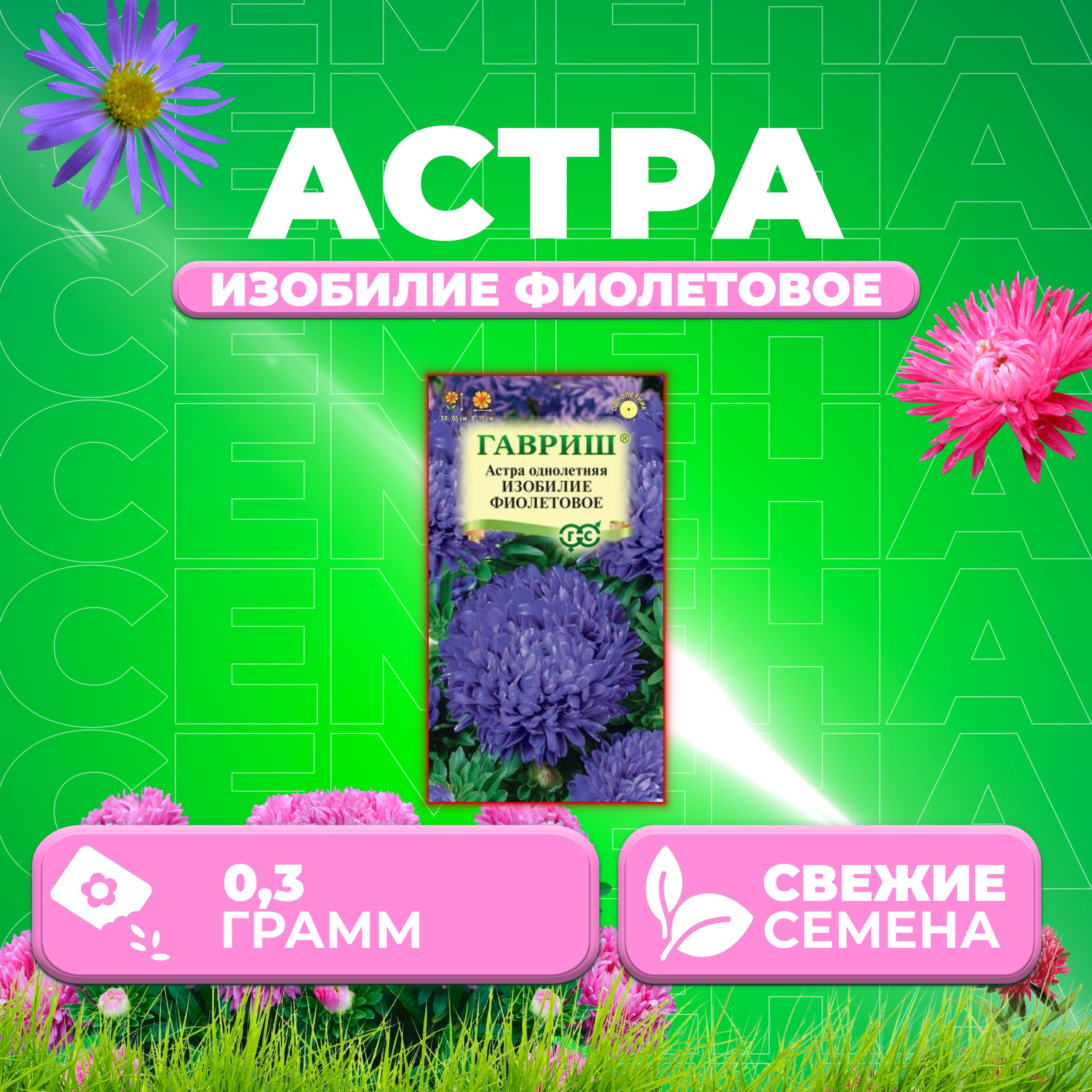 

Семена Астра Изобилие фиолетовое, пионовидная, 0,3г, Гавриш, Цветочная коллекция 1 уп