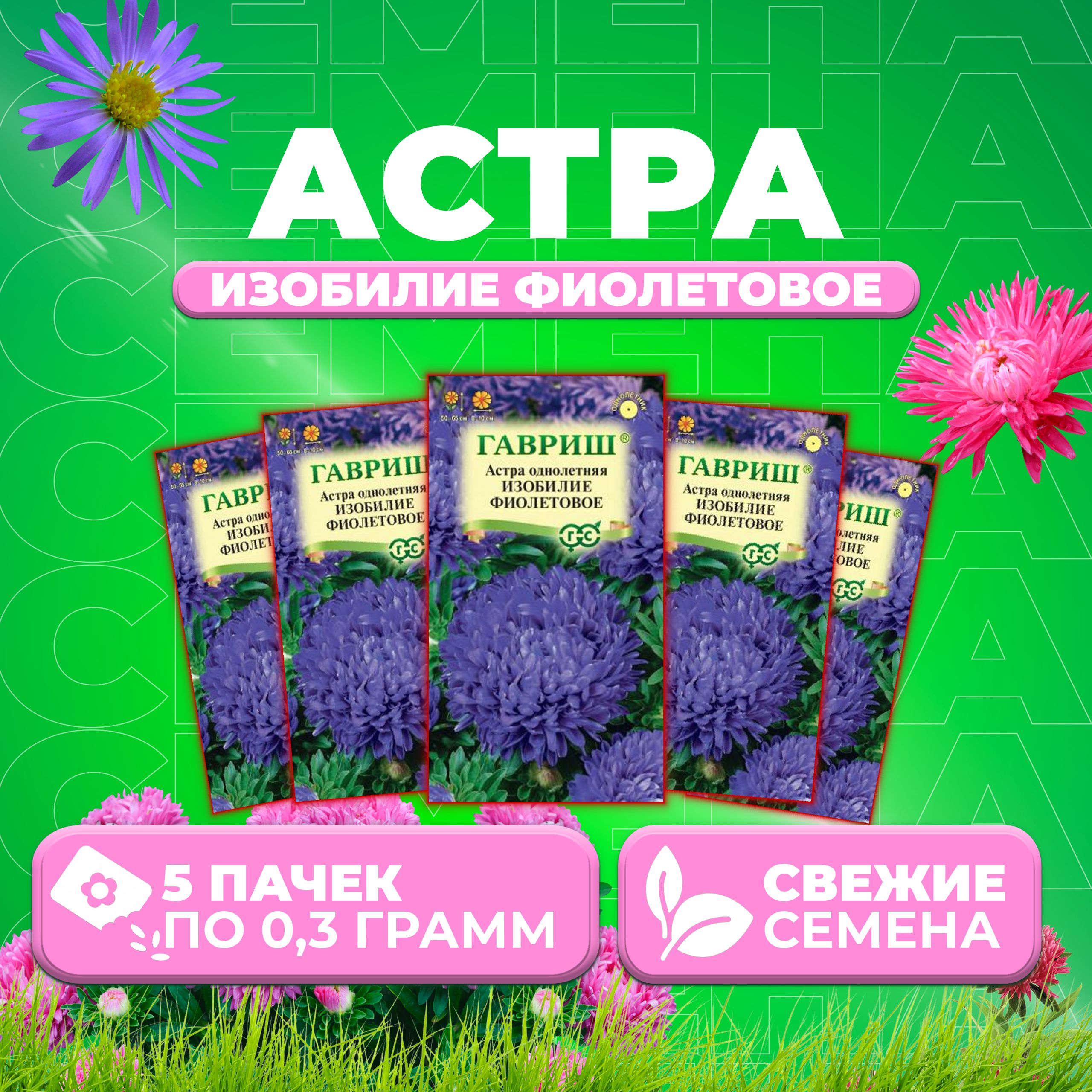 

Семена Астра Изобилие фиолетовое, пионовидная, 0,3г, Гавриш, Цветочная коллекция 5 уп