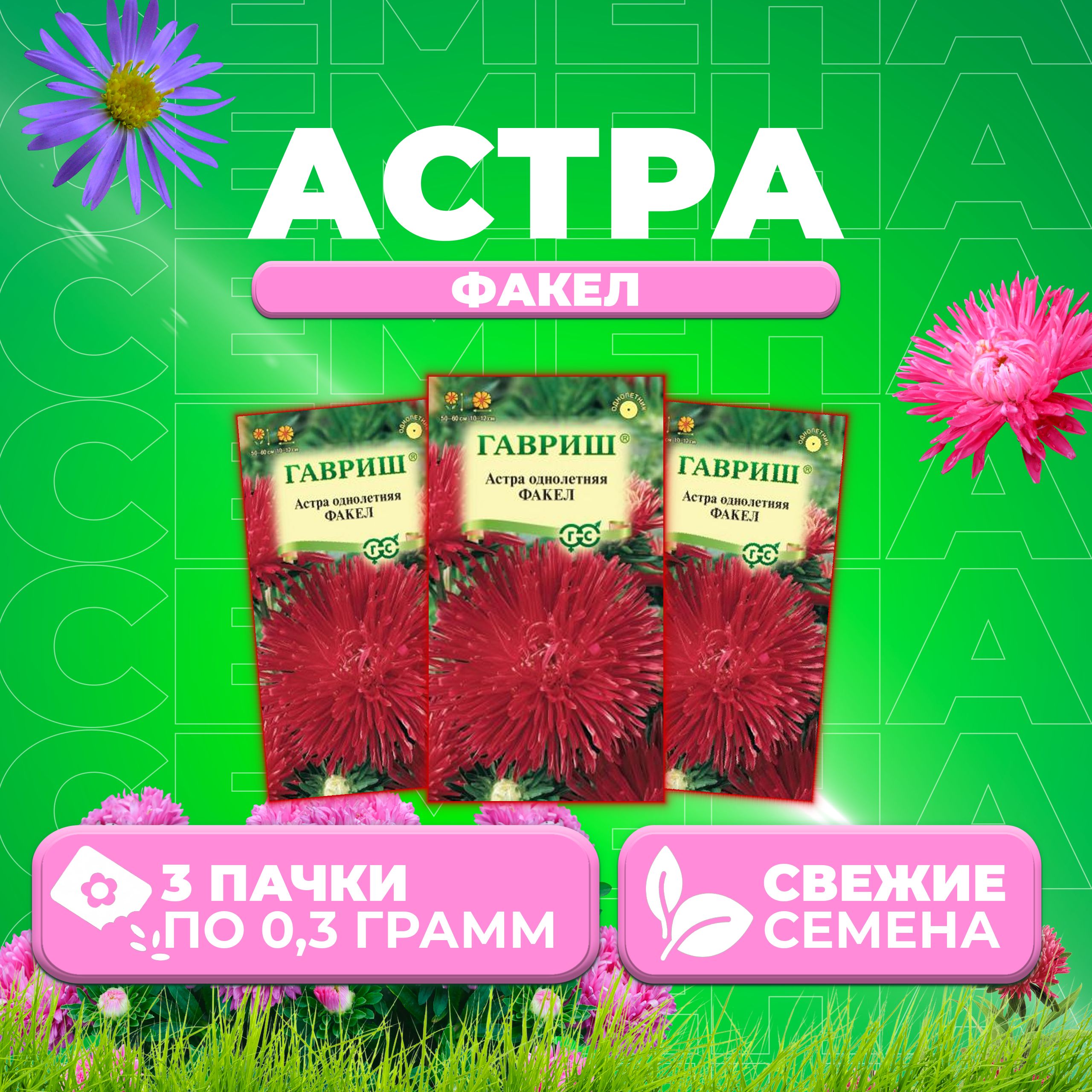 

Семена Астра Факел, 0,3г, Гавриш, Цветочная коллекция 3 уп