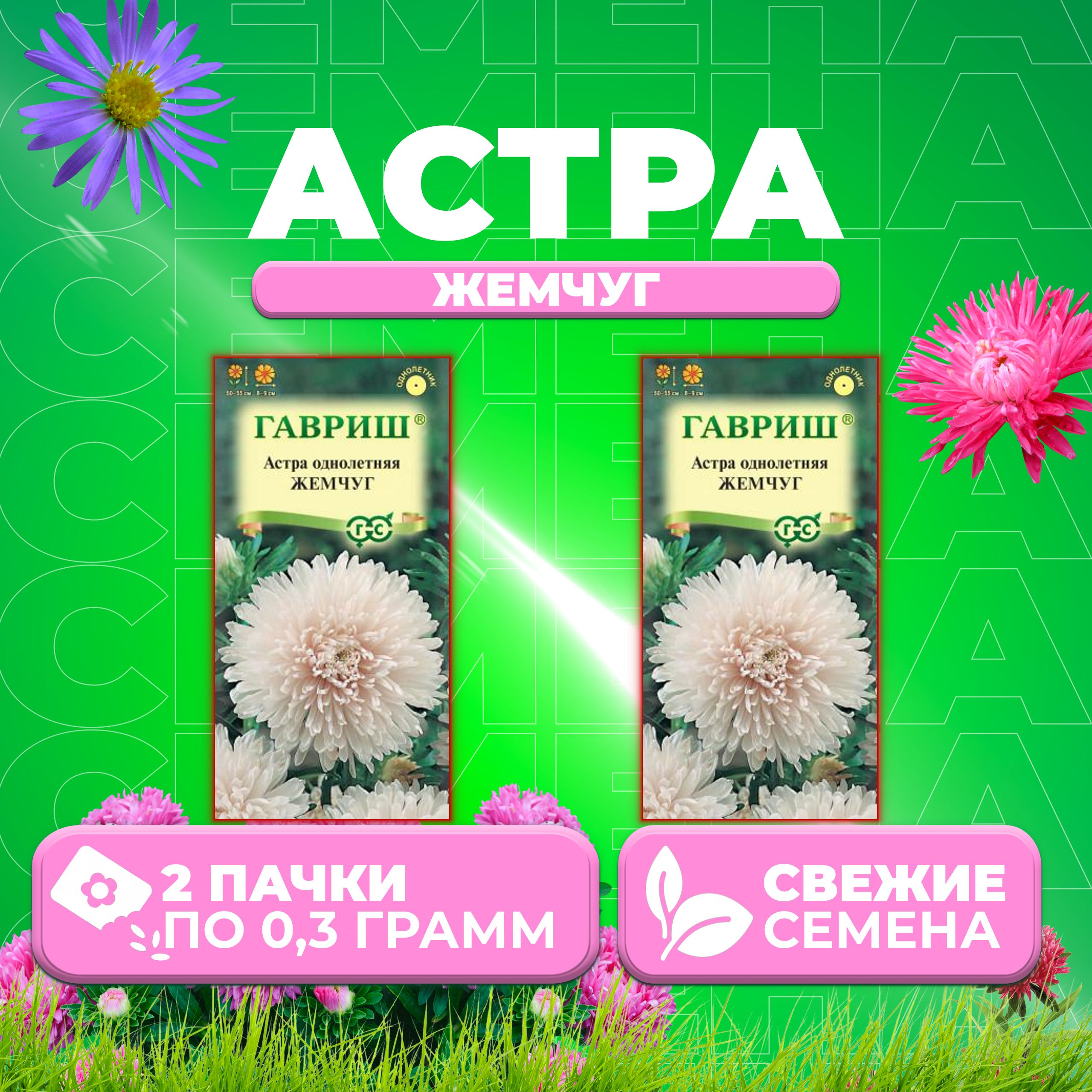 

Семена Астра Жемчуг, пионовидная, 0,3г, Гавриш, Цветочная коллекция 2 уп