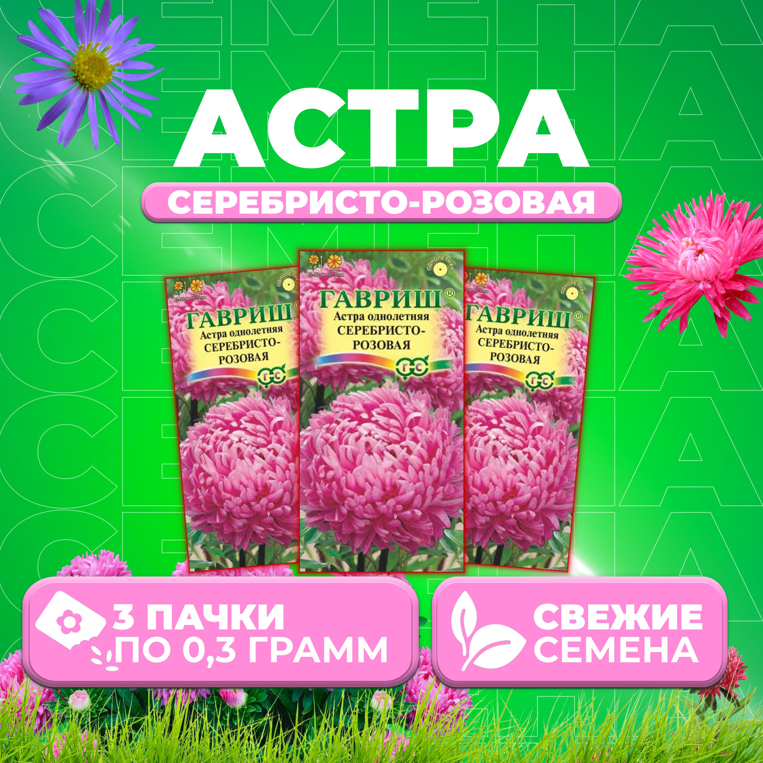 

Семена Астра Серебристо-розовая, розовидная, 0,3г, Гавриш, Цветочная коллекция 3 уп