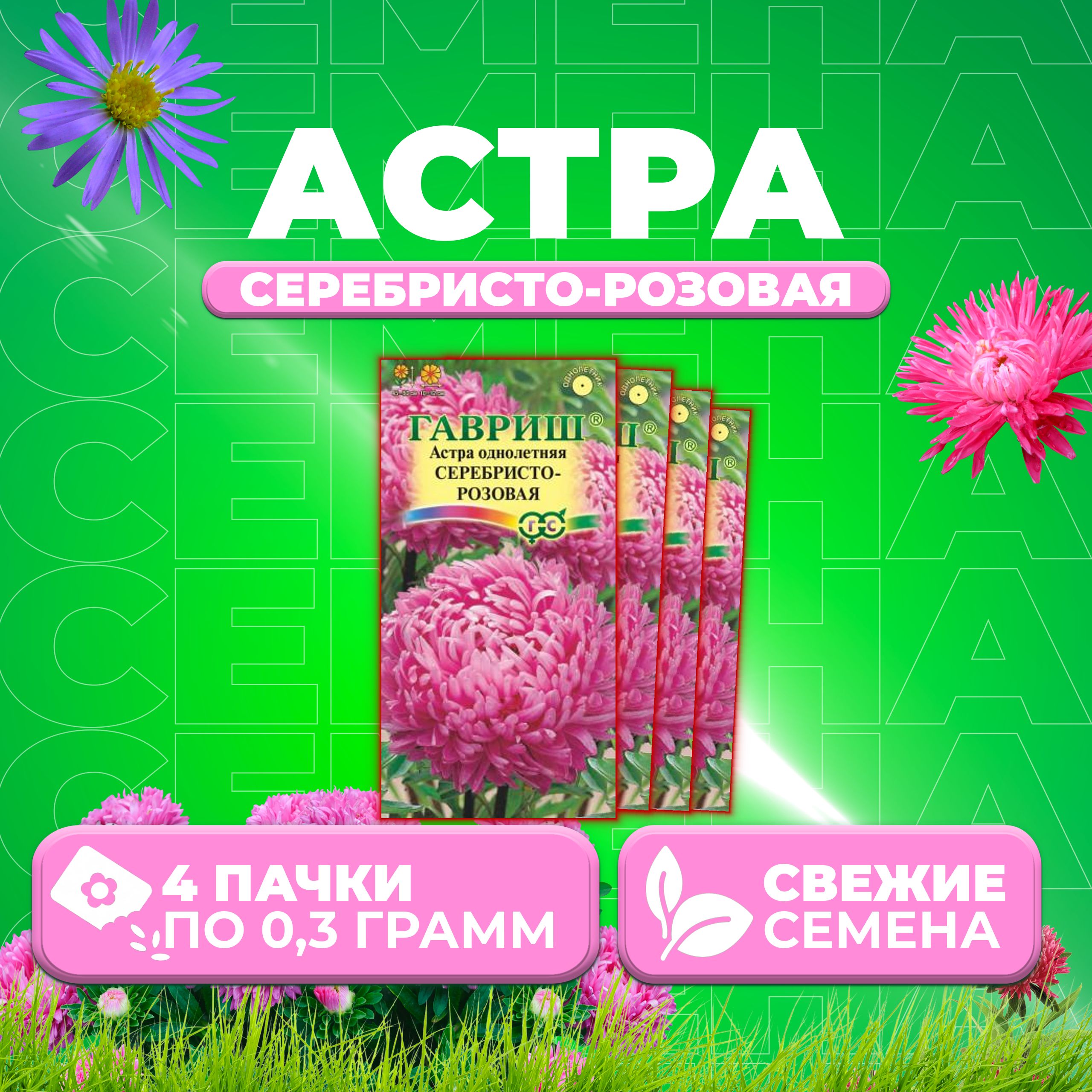 

Семена Астра Серебристо-розовая, розовидная, 0,3г, Гавриш, Цветочная коллекция 4 уп