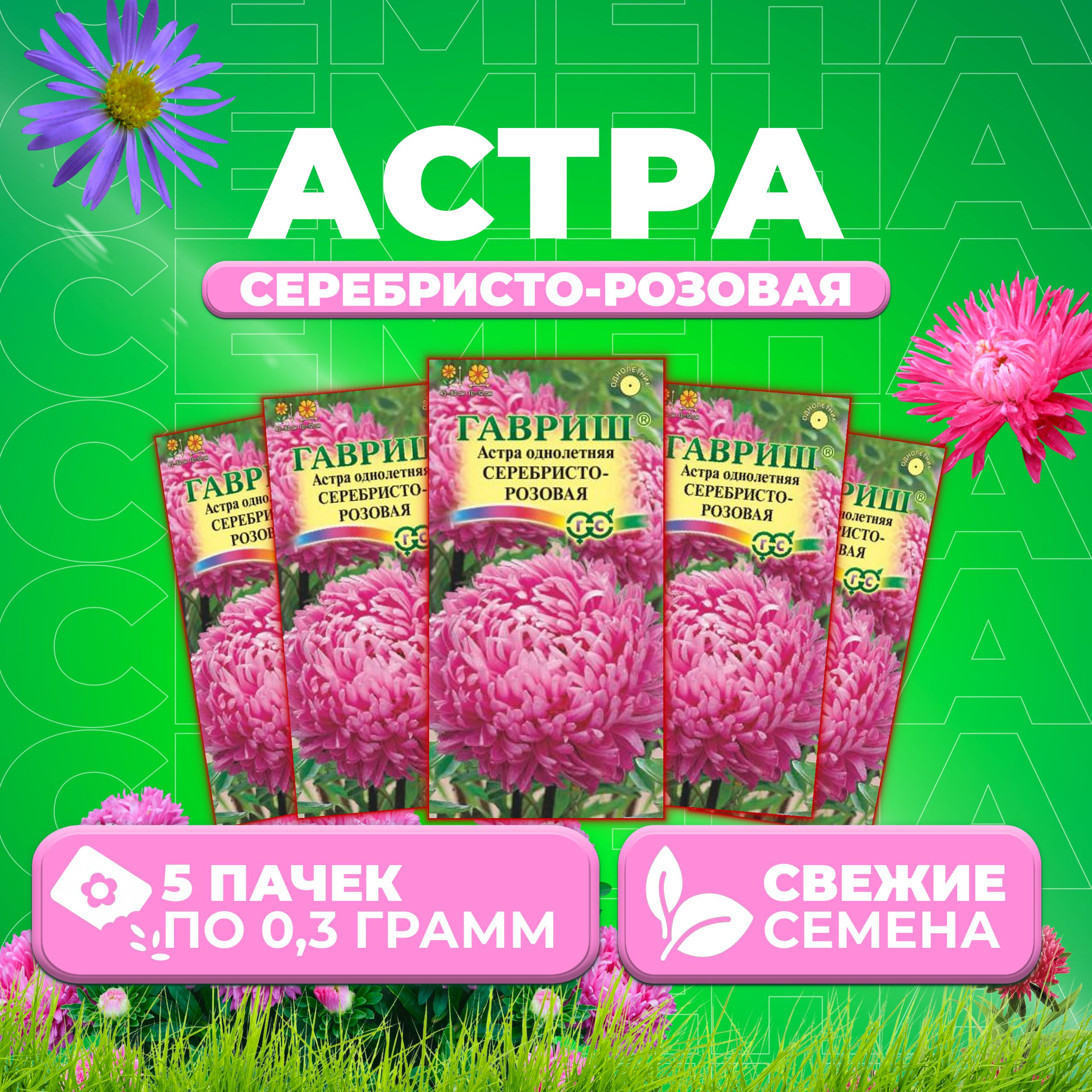 

Семена Астра Серебристо-розовая, розовидная, 0,3г, Гавриш, Цветочная коллекция 5 уп