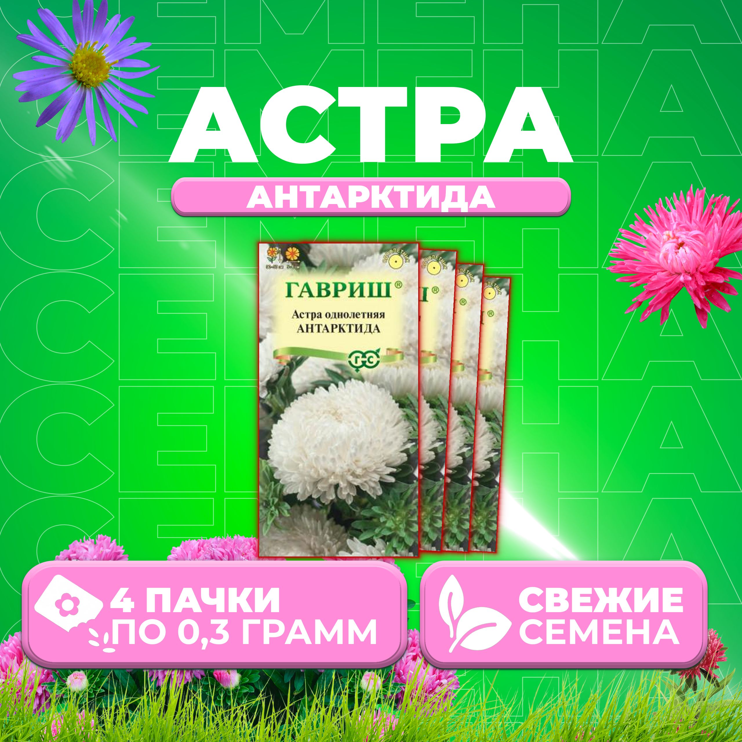 

Семена Астра Антарктида, 0,3г, Гавриш, Цветочная коллекция 4 уп