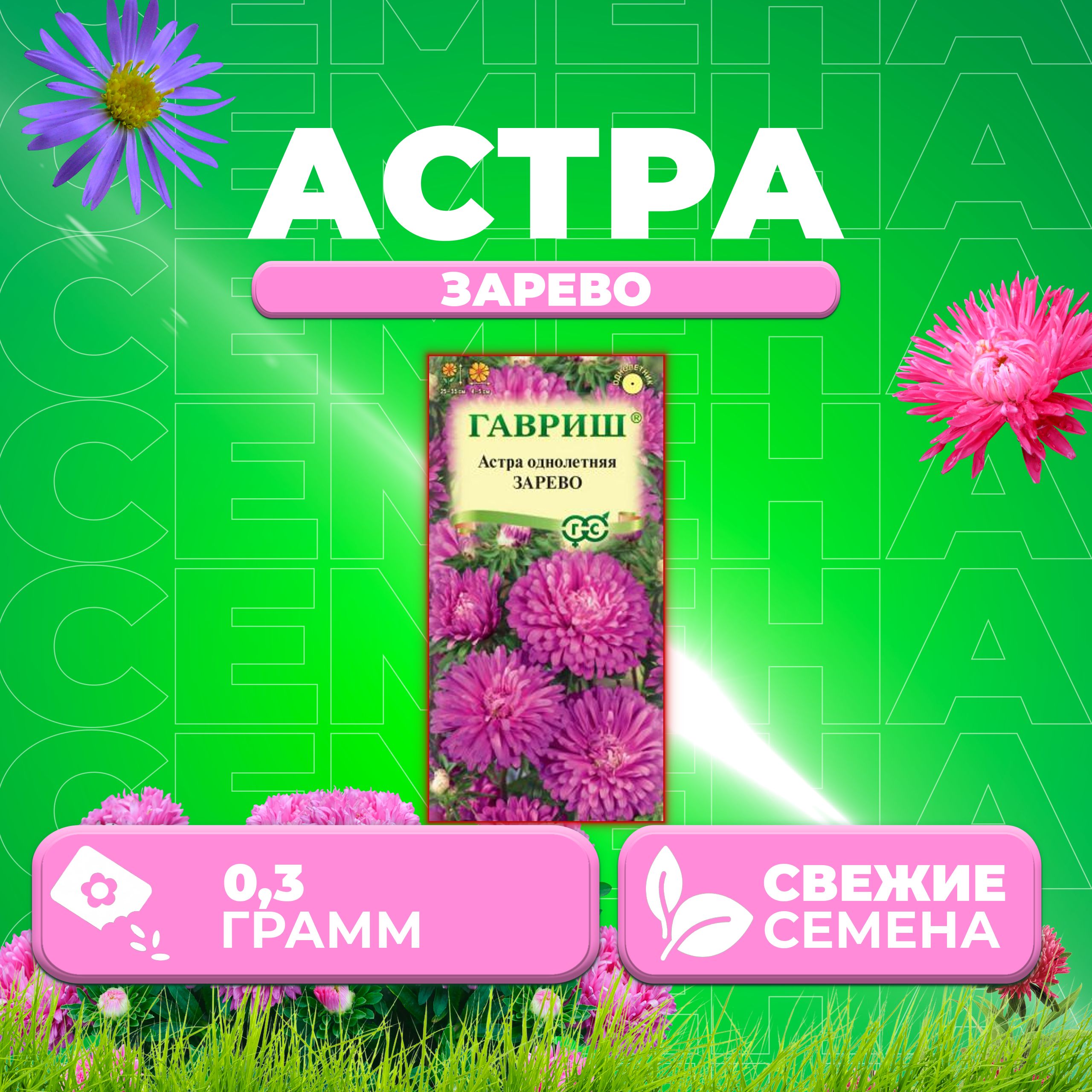 

Семена Астра Зарево, карликовая, 0,3г, Гавриш, Цветочная коллекция 1 уп