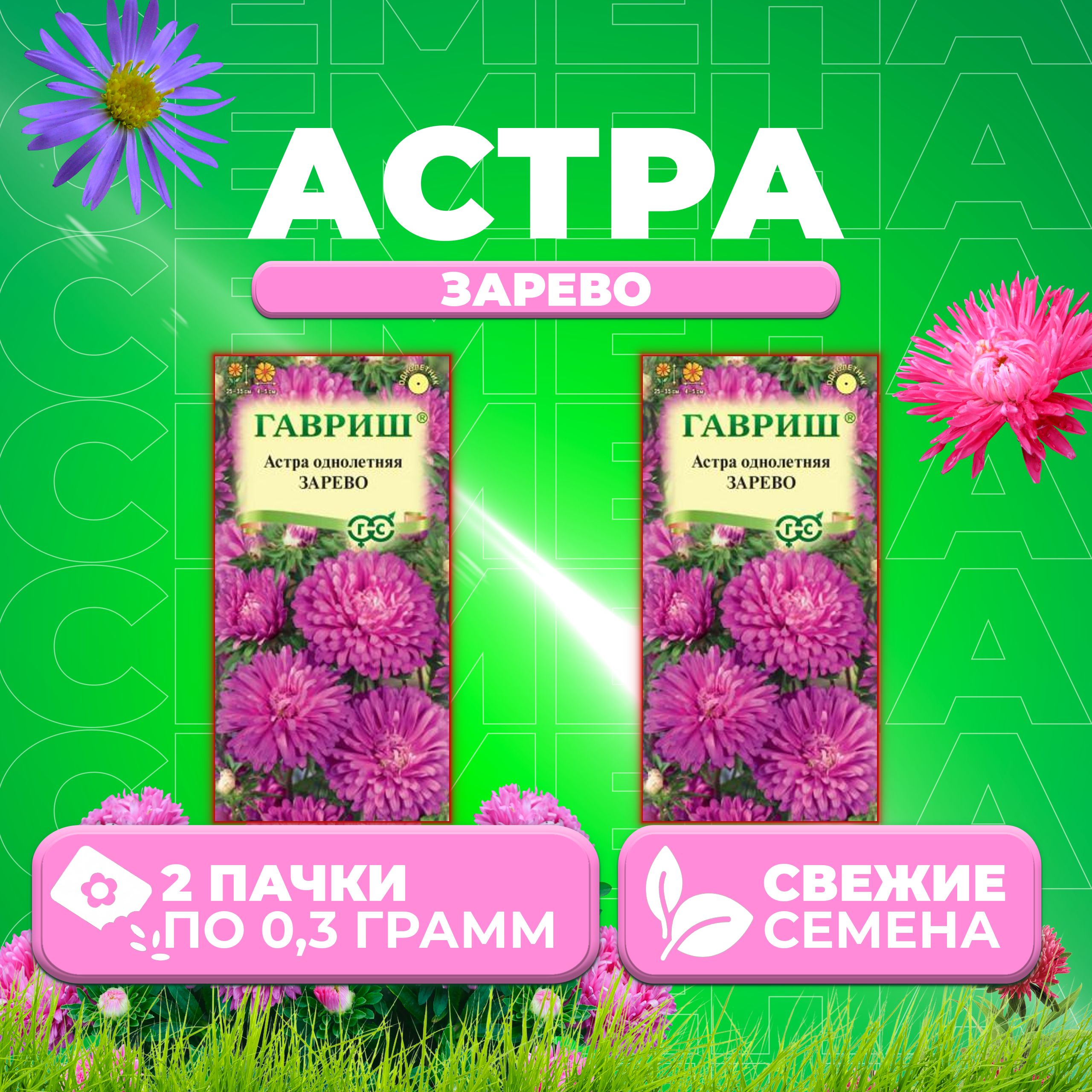 

Семена Астра Зарево, карликовая, 0,3г, Гавриш, Цветочная коллекция 2 уп