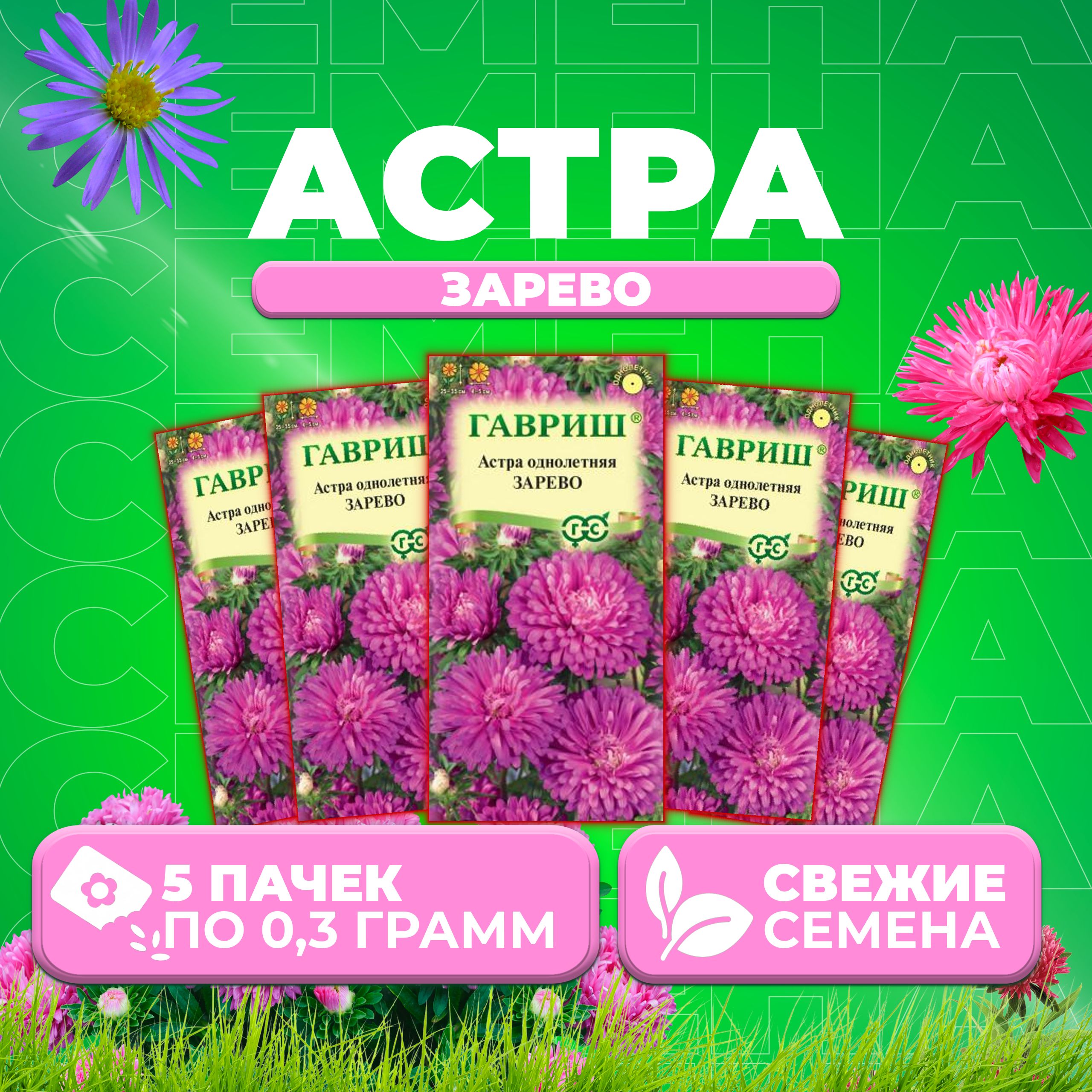 

Семена Астра Зарево, карликовая, 0,3г, Гавриш, Цветочная коллекция 5 уп