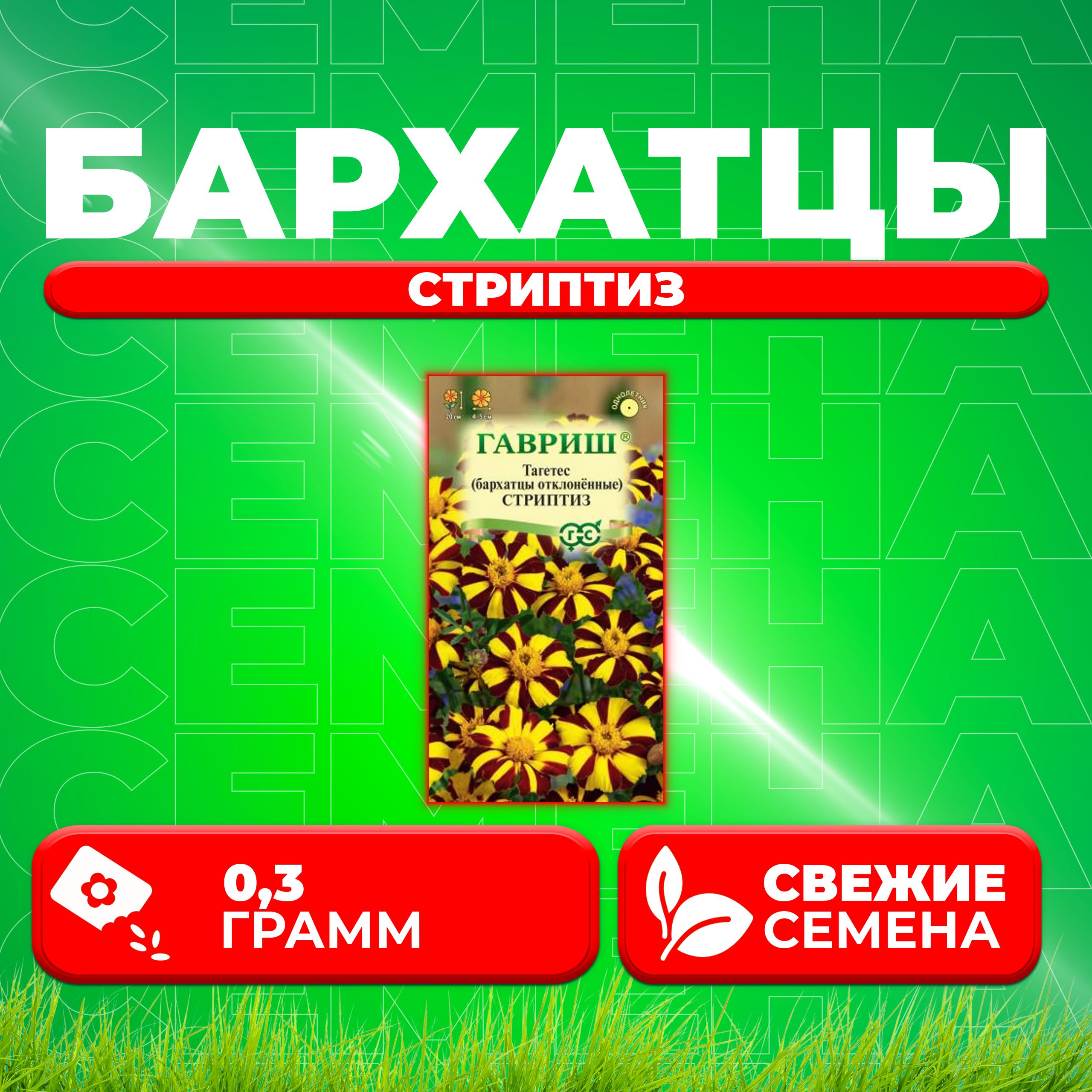 

Семена Бархатцы отклоненные тагетес Стриптиз, 0,3г, Гавриш, Цветочная коллекция 1 уп