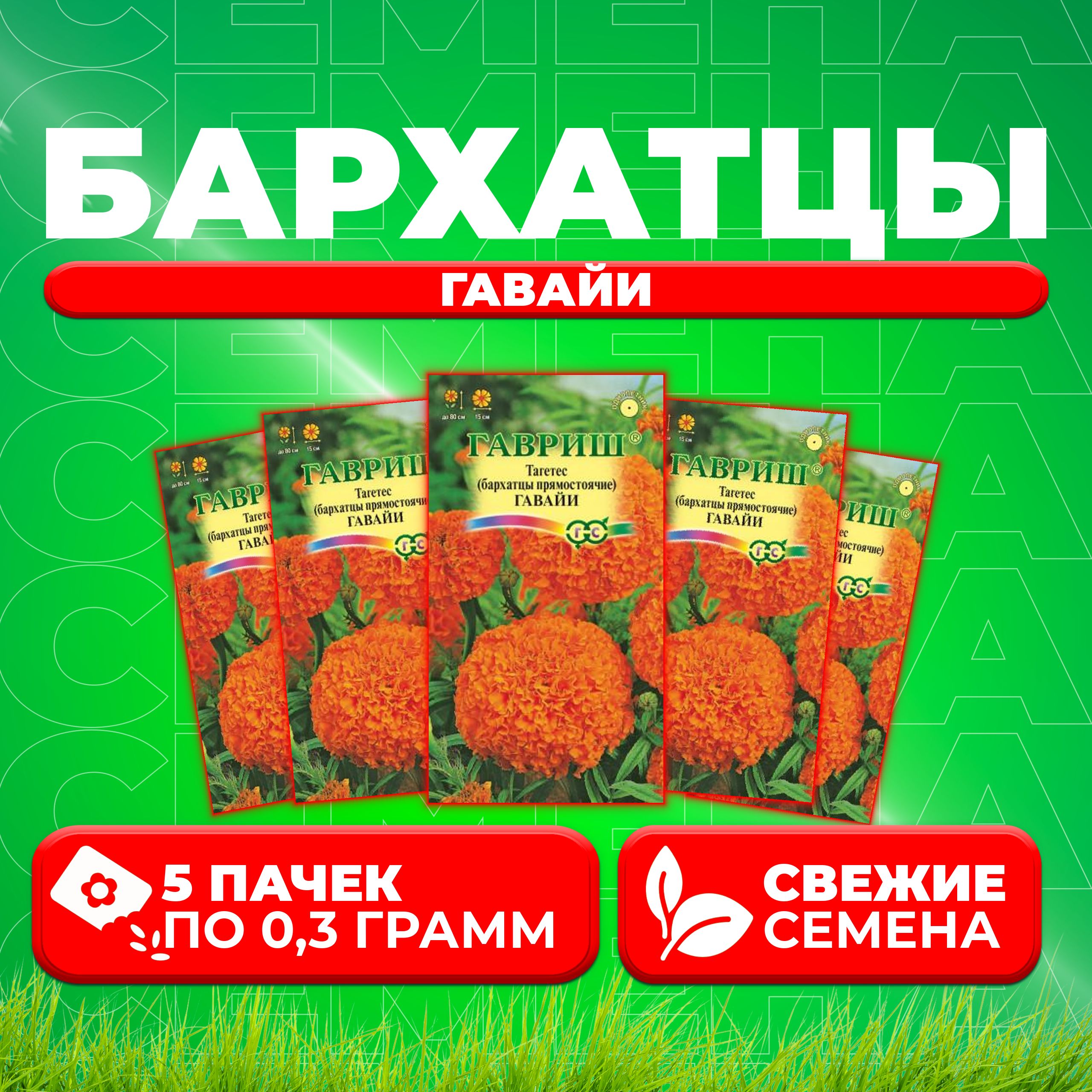 

Семена Бархатцы прямостоячие тагетес Гавайи, 0,3г, Гавриш, Цветочная коллекция 5 уп