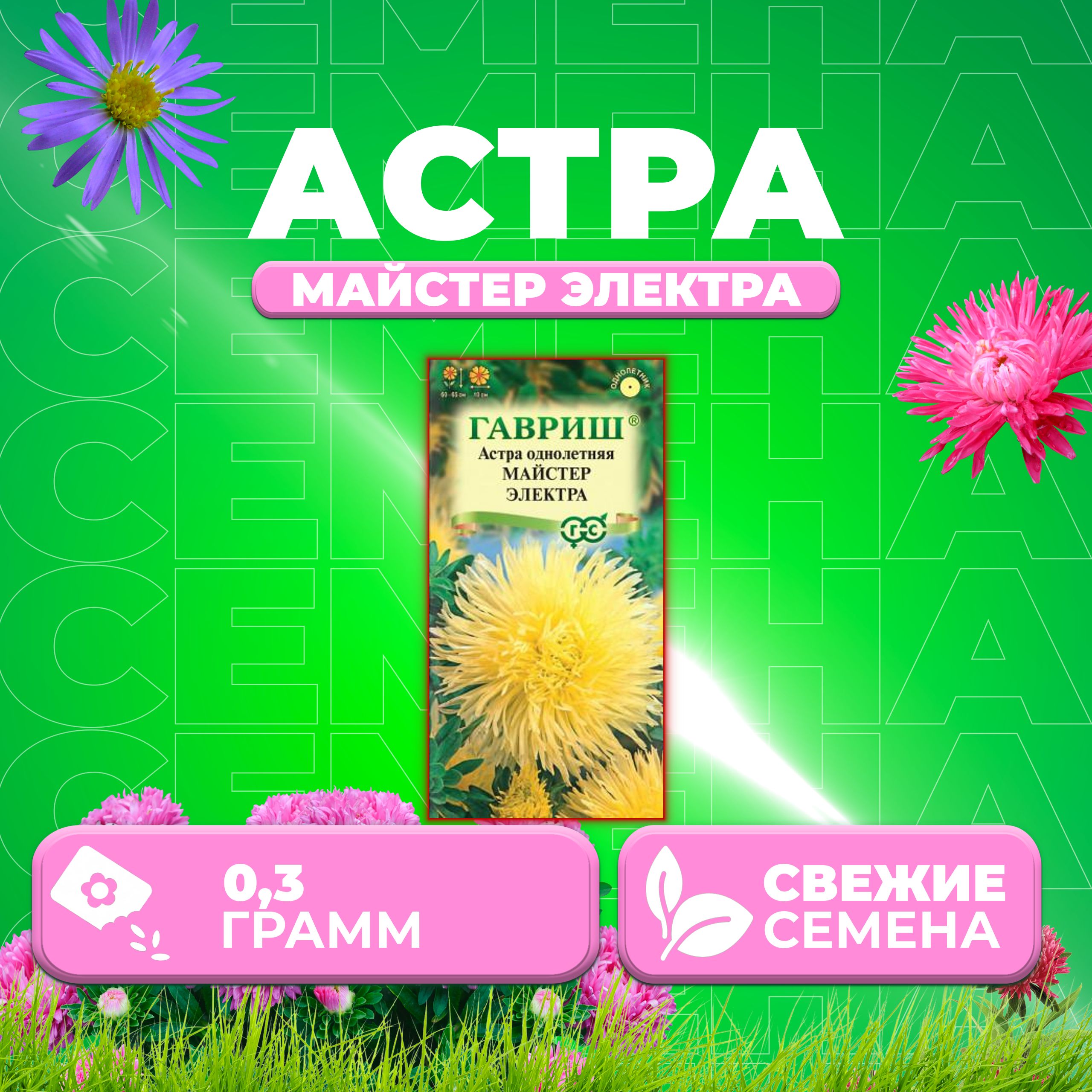 

Семена Астра Майстер Электра, игольчатая, 0,3г, Гавриш, Цветочная коллекция 1 уп