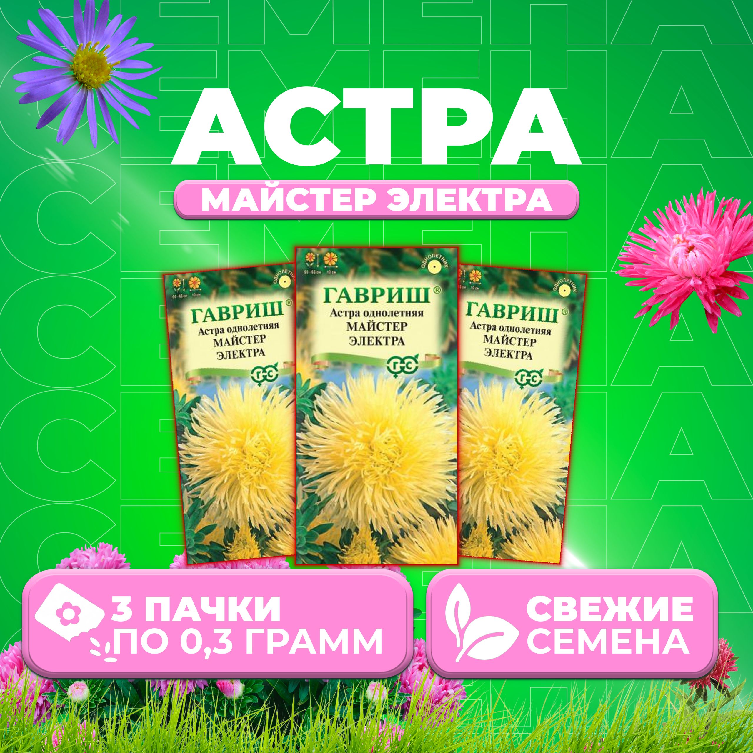 

Семена Астра Майстер Электра, игольчатая, 0,3г, Гавриш, Цветочная коллекция 3 уп