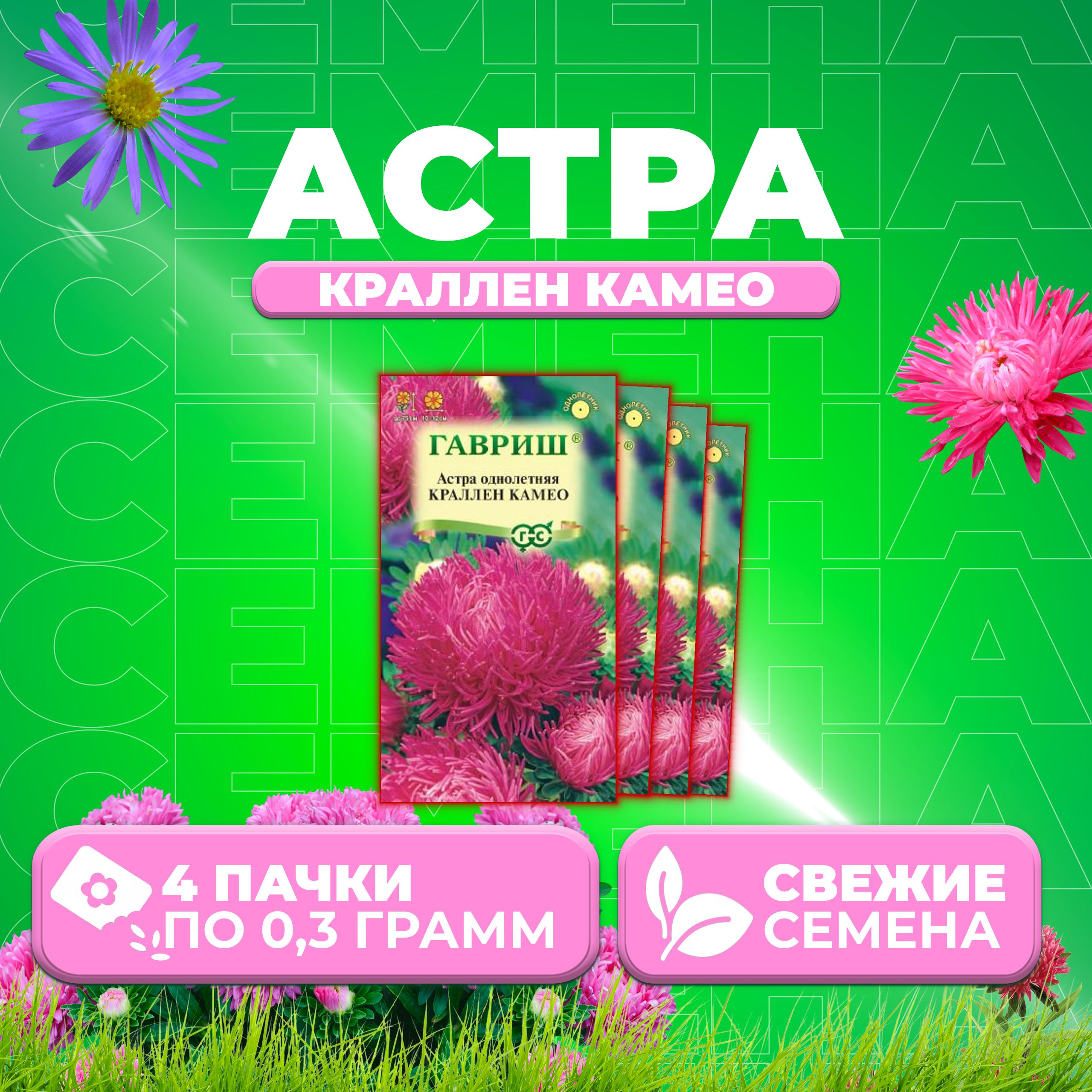 

Семена Астра Краллен Камео, коготковая, 0,3г, Гавриш, Цветочная коллекция 4 уп