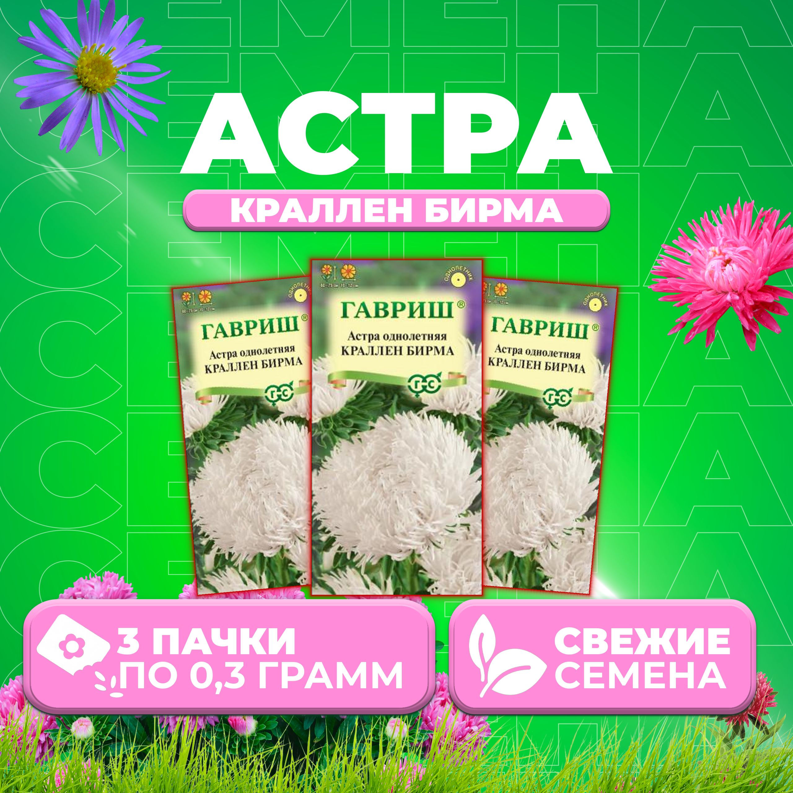 

Семена Астра Краллен Бирма, коготковая, 0,3г, Гавриш, Цветочная коллекция 3 уп