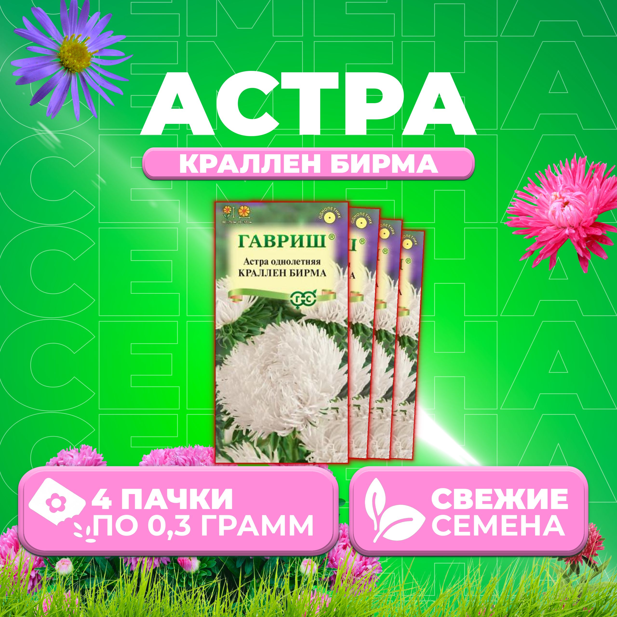 

Семена Астра Краллен Бирма, коготковая, 0,3г, Гавриш, Цветочная коллекция 4 уп