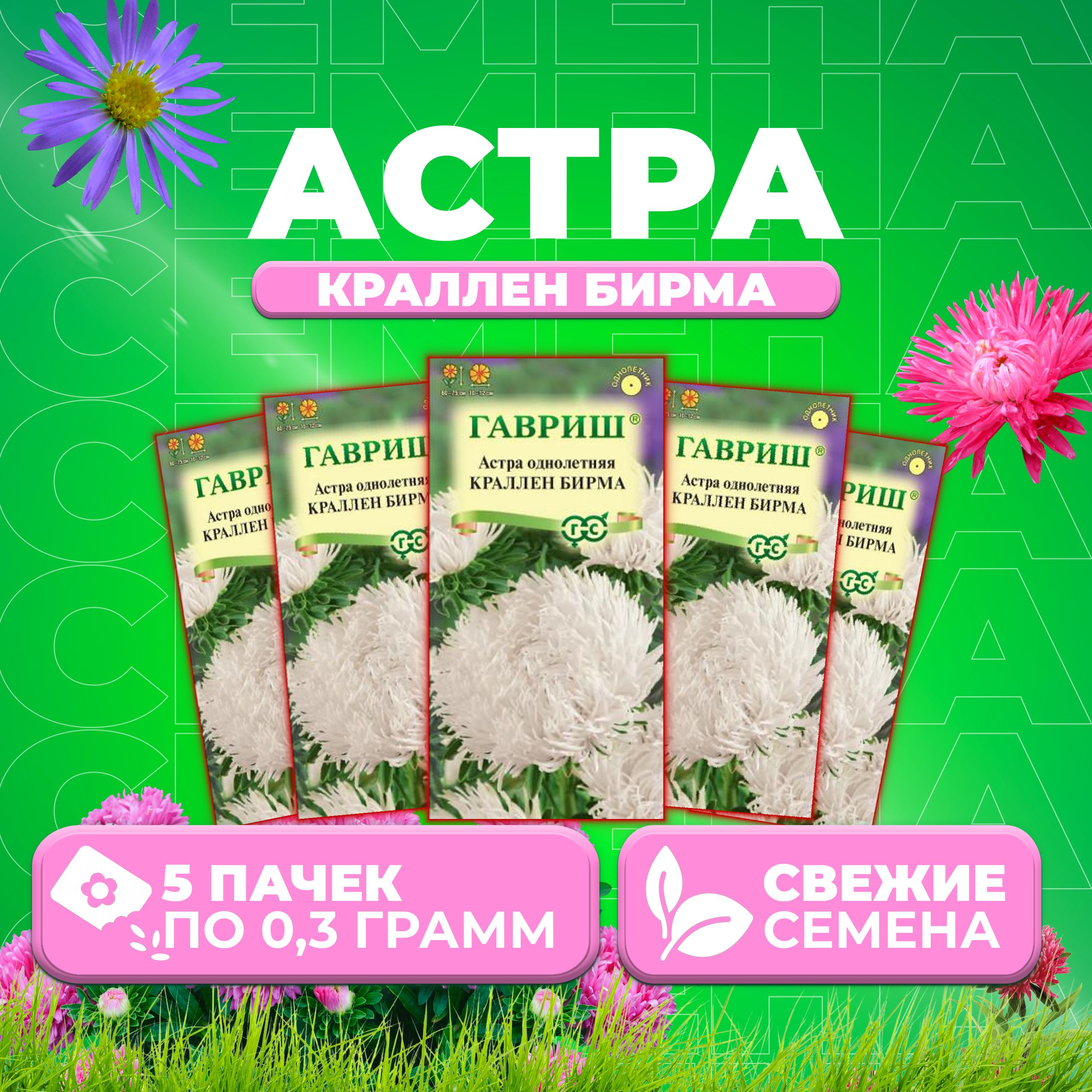 

Семена Астра Краллен Бирма, коготковая, 0,3г, Гавриш, Цветочная коллекция 5 уп