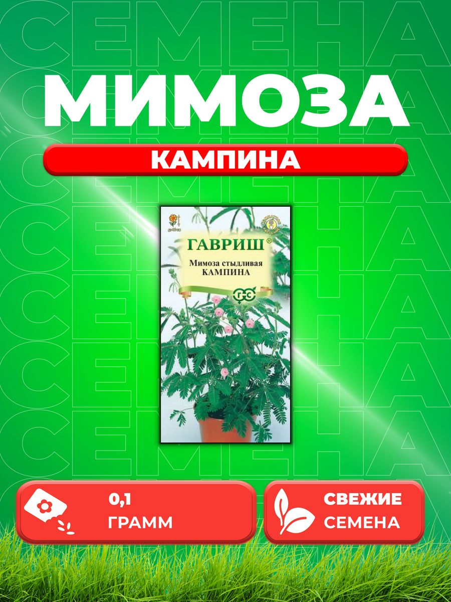 

Семена Мимоза стыдливая Кампина, 0,1г