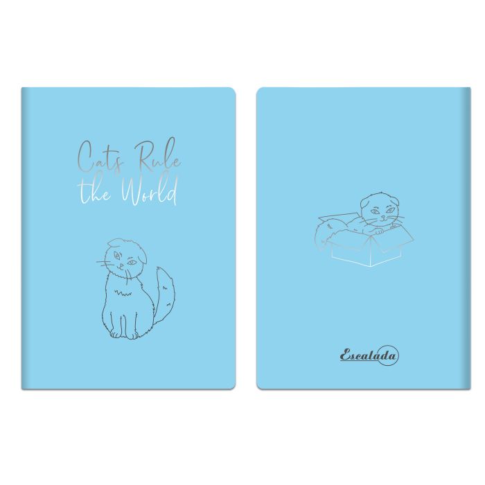 

Записная книжка, А6+, 52775/ 20 ПВХ ГОЛУБОЙ Феникс+