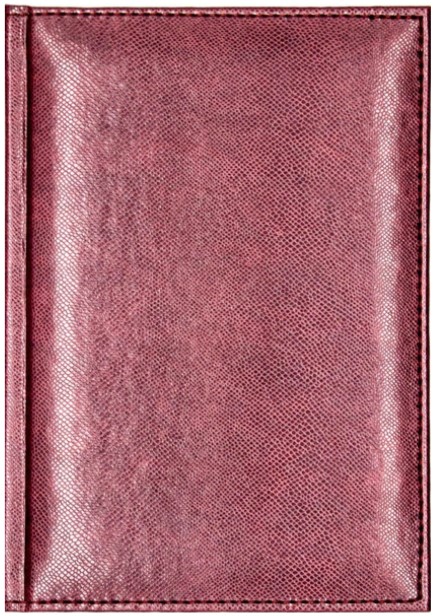 

Ежедневник КТС-про Dario недатированный, А5, 320 страниц, бордовый
