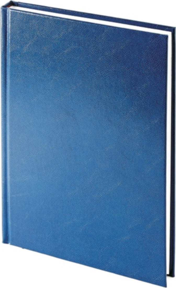 

Ежедневник Альт 3122-5 Ideal new недатированный A5