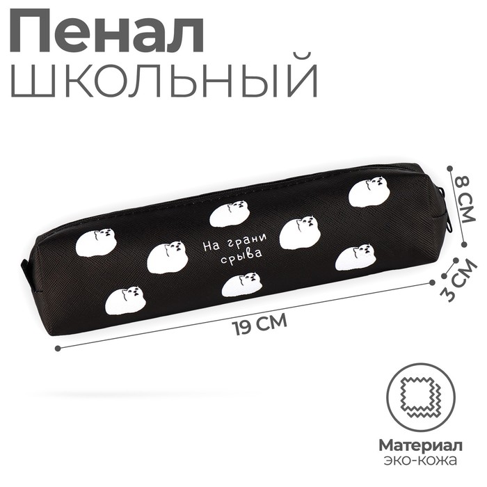 

Пенал из искусственной кожи ArtFox STUDY «На грани срыва» , 19х8х3 см, Черный