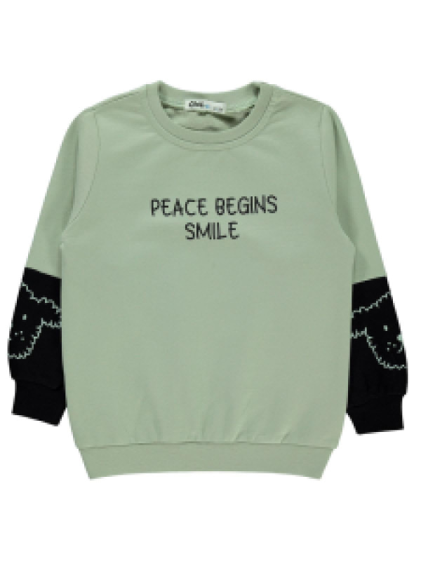 

Свитшот Civil 19959977K21, 4-5 лет, хаки (доставка из-за рубежа), 19959977K21