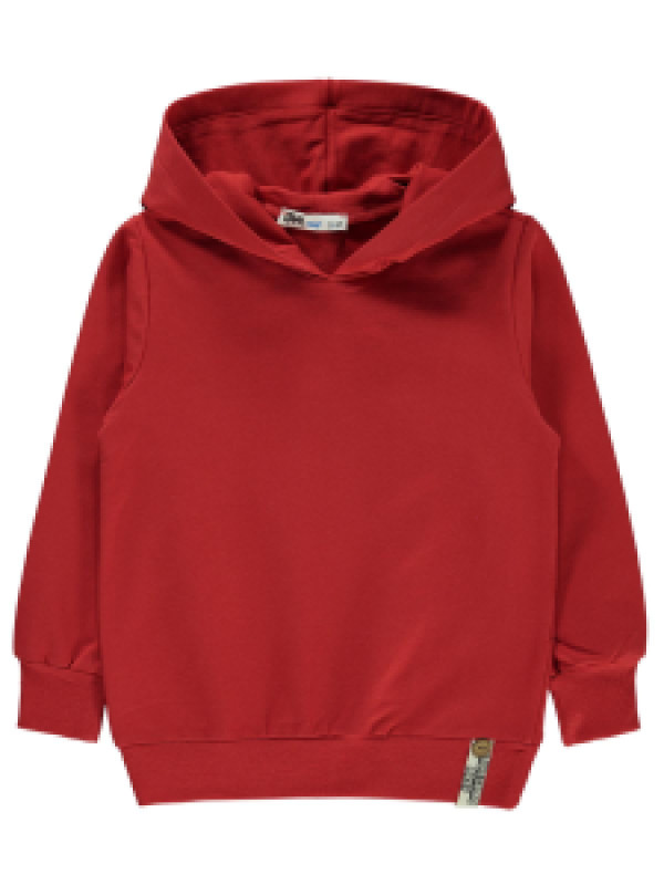 

Толстовка Civil 19330E451K21-1, 3-4 лет, коралловый (доставка из-за рубежа), 19330E451