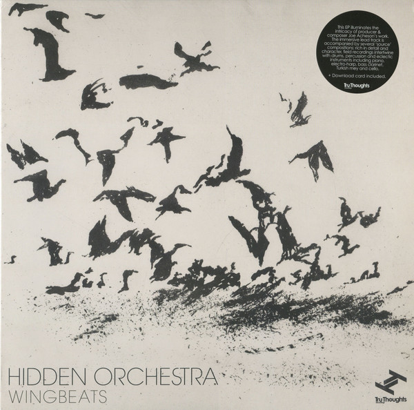 HIDDEN ORCHESTRA - Wingbeats EP (12+mp3)