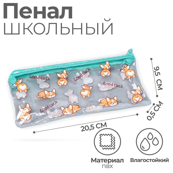 

Пенал школьный на молнии Good Luck, 20.5 х 9.5см, Прозрачный