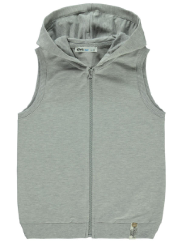 

Жилет с капюшоном Civil 44330E449K23-1, 11-12 лет, светло-серый (доставка из-за рубежа), 44330E449K23