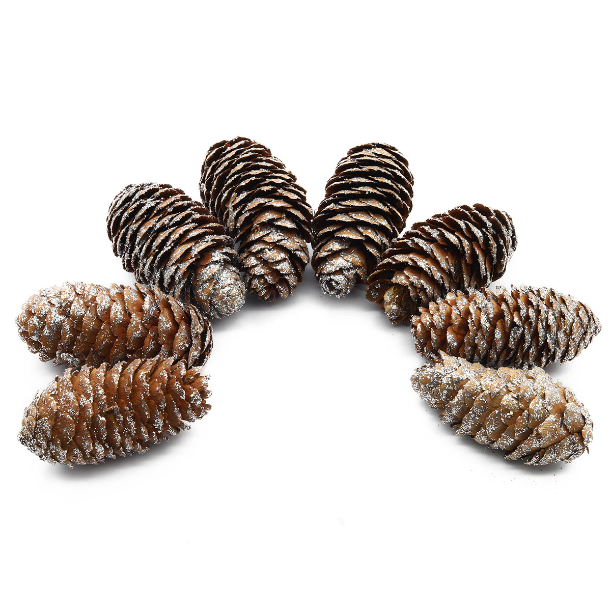 

Природные материалы для флористики Astra&Craft XY19-844, длина 6-8 см, ширина 3-4 см