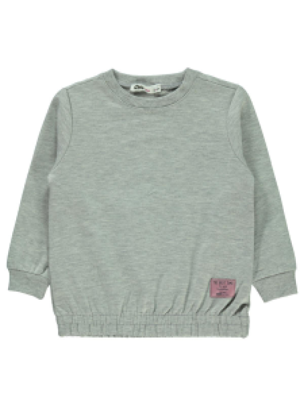 

Свитшот Civil 19F19E475K21-2, 4-5 лет, светло-серый (доставка из-за рубежа), 19F19E475K21-2