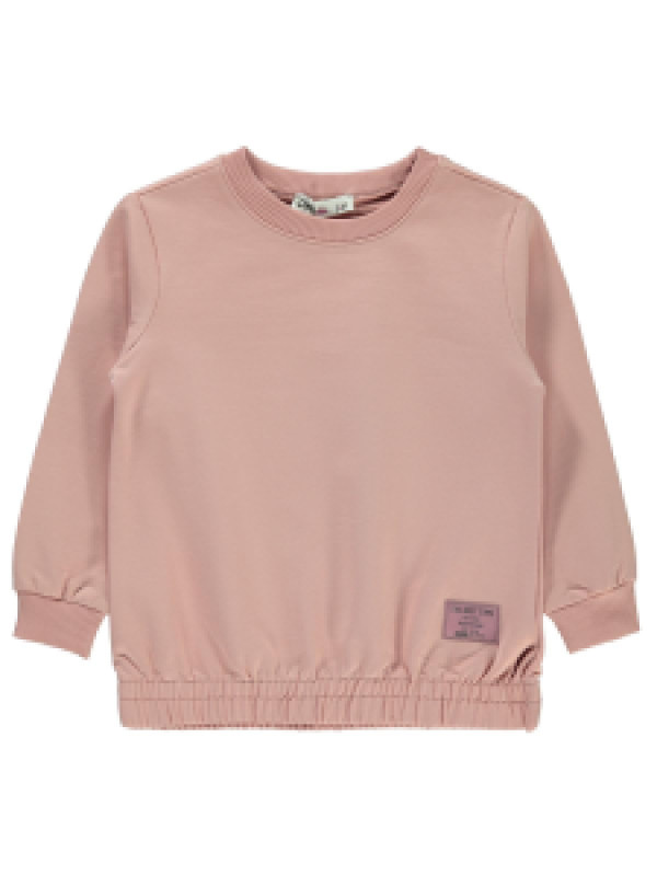 

Свитшот Civil 19F19E475K21-1, 4-5 лет, пудровый (доставка из-за рубежа), 19F19E475K21-1