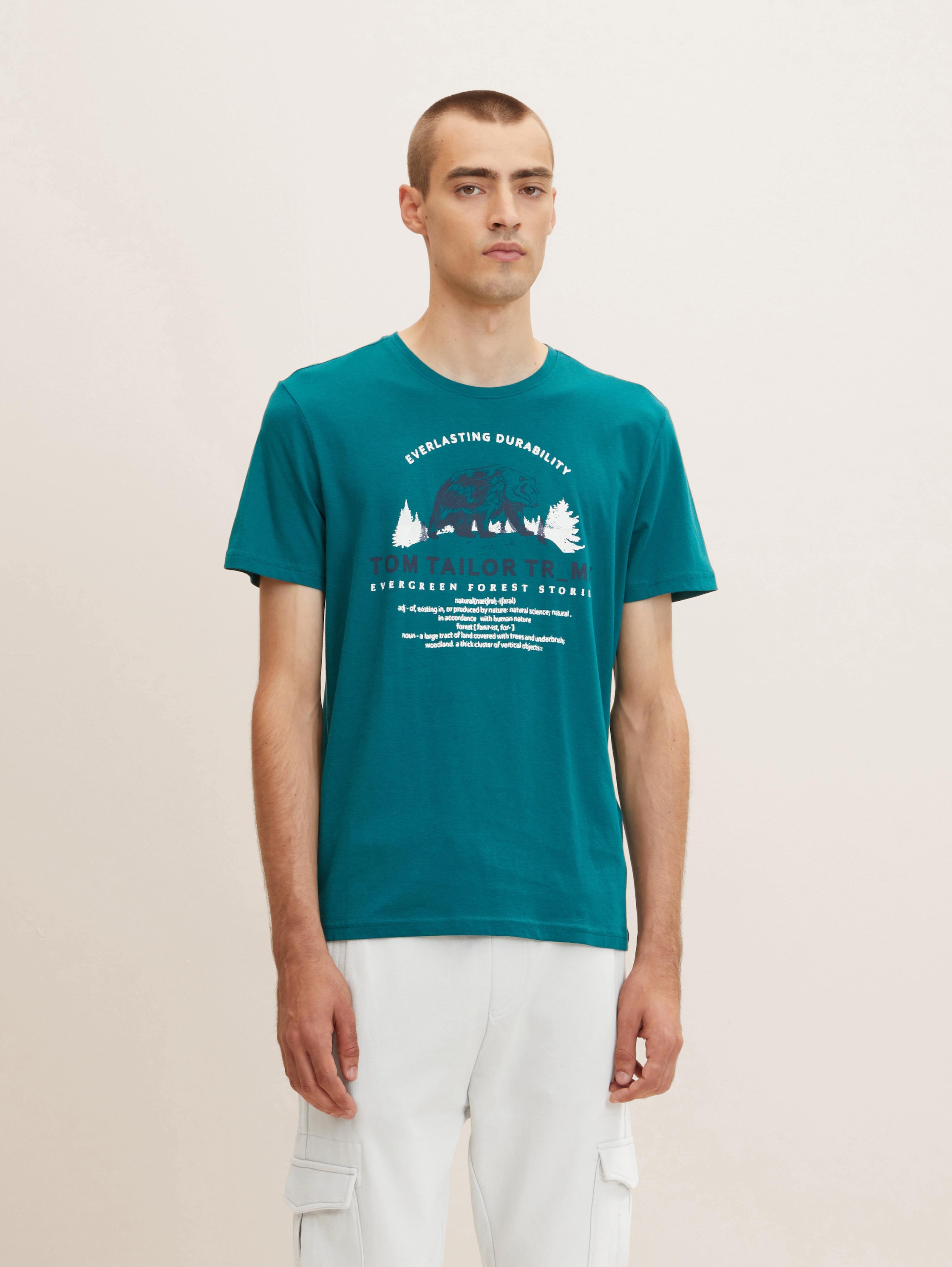 

Футболка мужская Tom Tailor 1032979 зеленая XL, 1032979