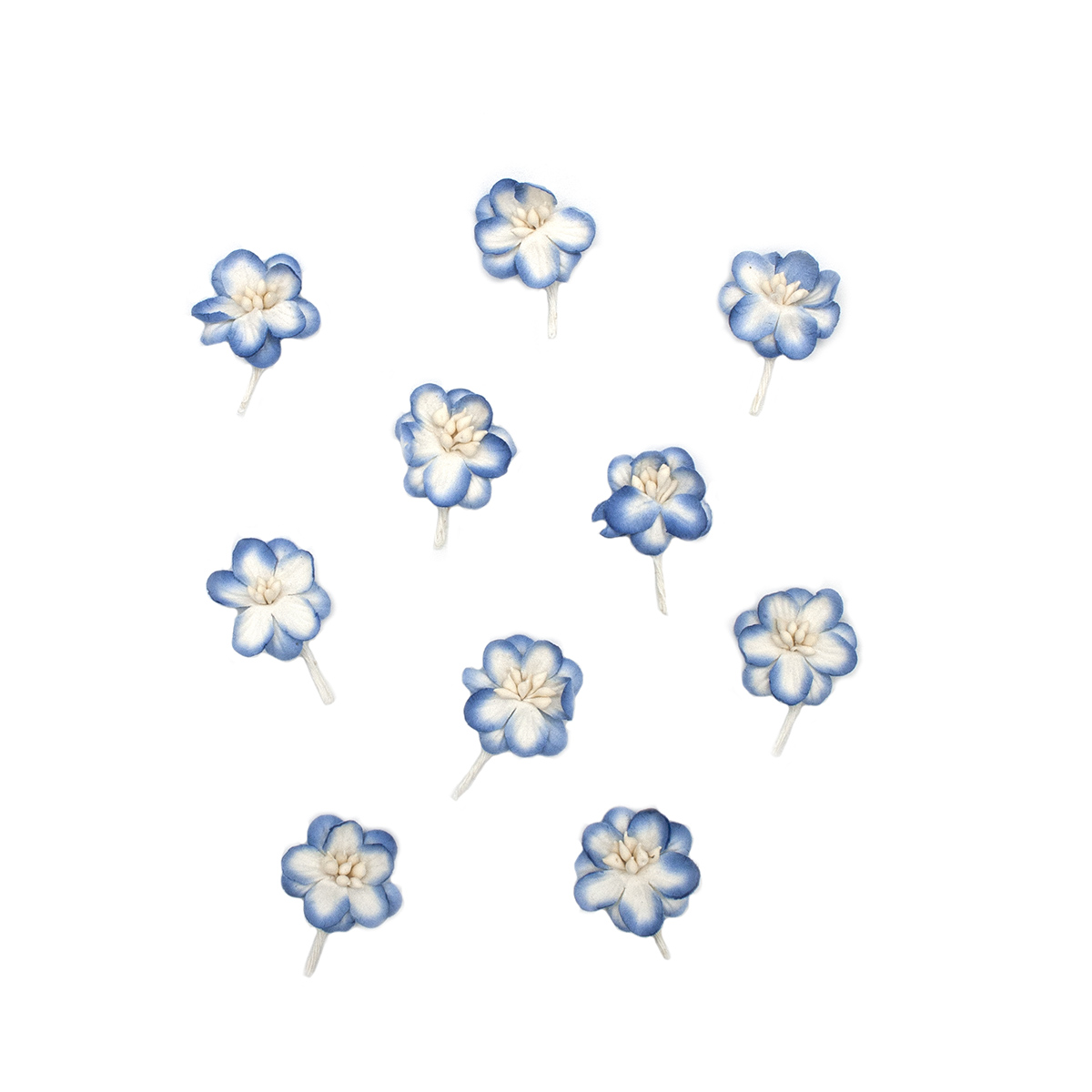 фото Scb3002 набор цветки вишни из бумаги, упак./10 шт. (15 белый/синий) scrapberry's