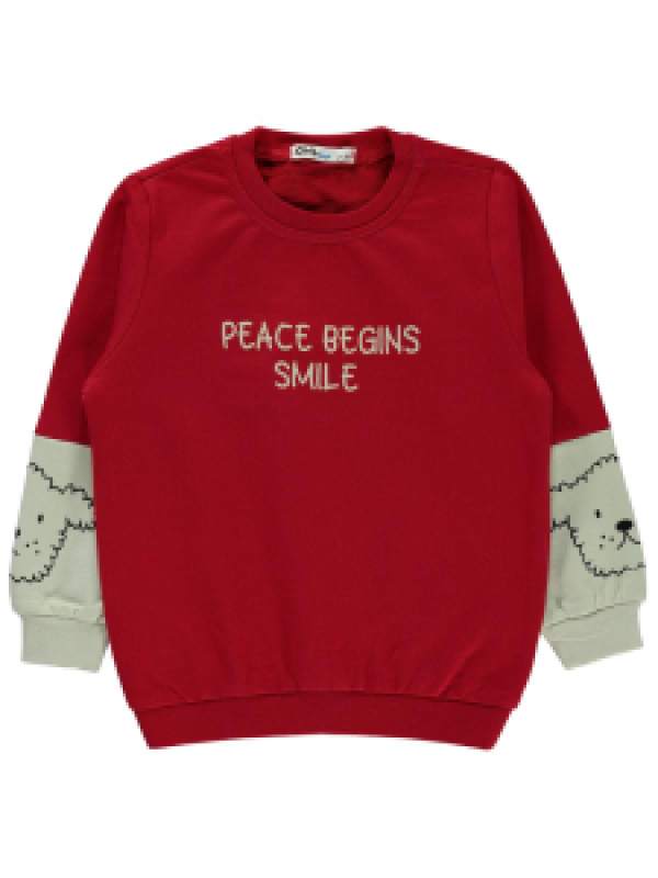 

Свитшот Civil 19959977K21-1, 4-5 лет, красный (доставка из-за рубежа), 19959977K21