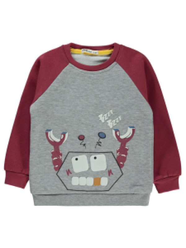 

Свитшот Civil 19951014K21-1, 3-4 лет, бордовый (доставка из-за рубежа), 19951014K21