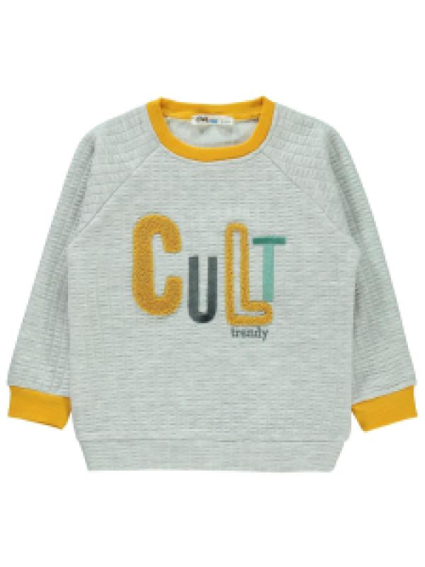 

Свитшот Civil 19A495612K21, 5-6 лет, светло-серый (доставка из-за рубежа), 19A495612K21