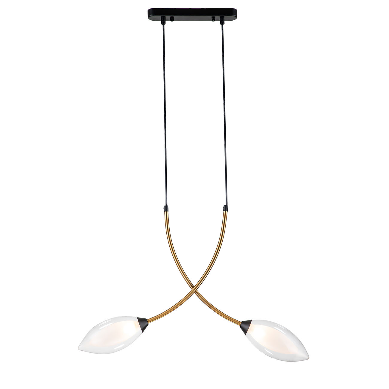 

Подвесной светильник 13001/2P Black