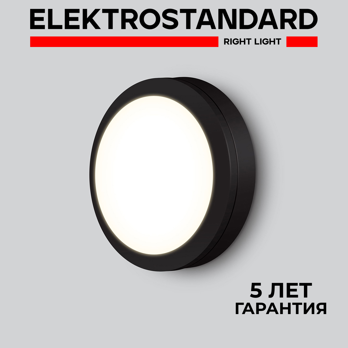 

Уличный накладной светодиодный светильник Elektrostandard Circle LTB51 15W 6500K черный