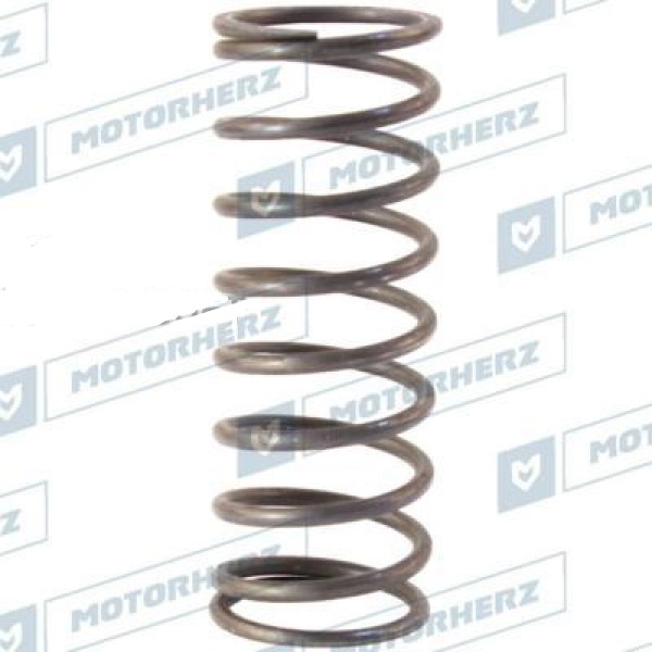 

Пружина Motorherz hll00604