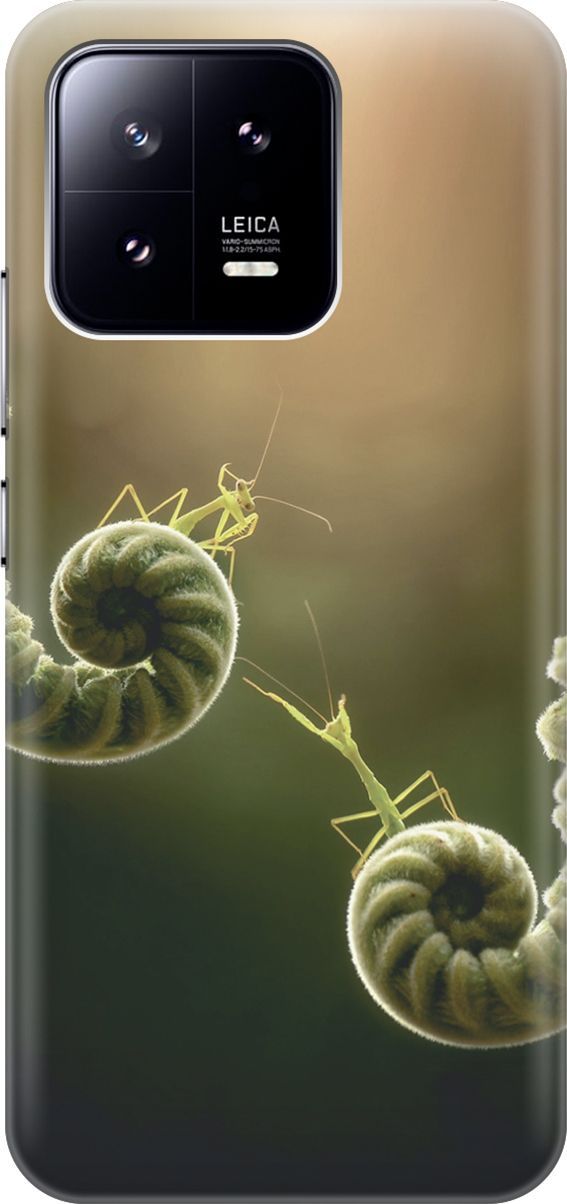 

Силиконовый чехол на Xiaomi 13 с принтом "Пара богомолов", Бежевый;зеленый, 159007