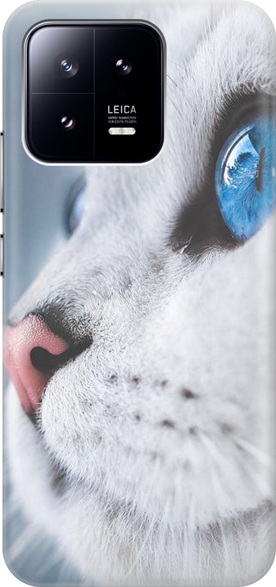 

Силиконовый чехол на Xiaomi 13 с принтом "Кошачий взгляд", Белый;голубой, 159007