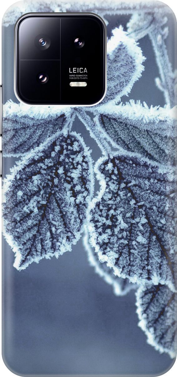 

Силиконовый чехол на Xiaomi 13 с принтом "Замерзшие листочки", Белый;синий, 159005