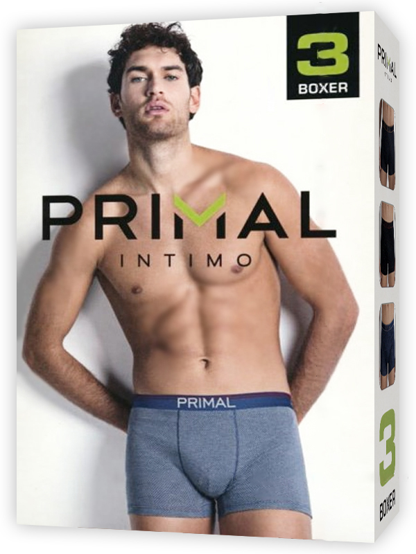 

Комплект трусов мужских Primal 80597-10 разноцветных S, 3 шт., Разноцветный, 80597-10