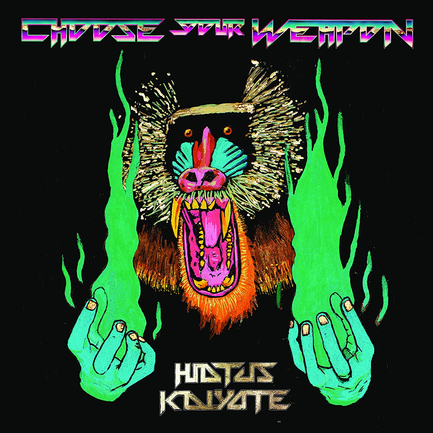 

Виниловая пластинка Hiatus Kaiyote Choose Your Weapon (2Винил)
