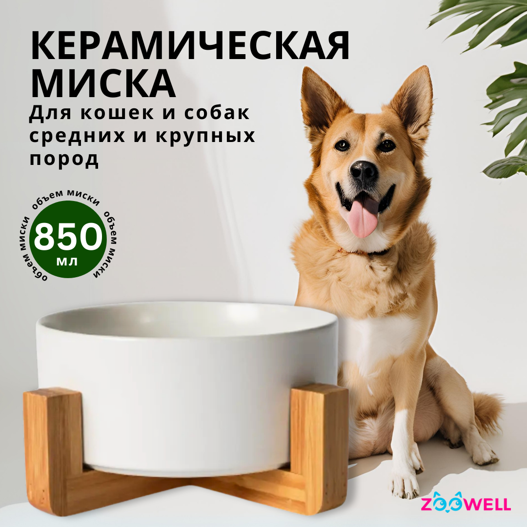 

Миска для кошек и собак ZooWell Aura, белая, керамика, 850 мл, Белый, Aura
