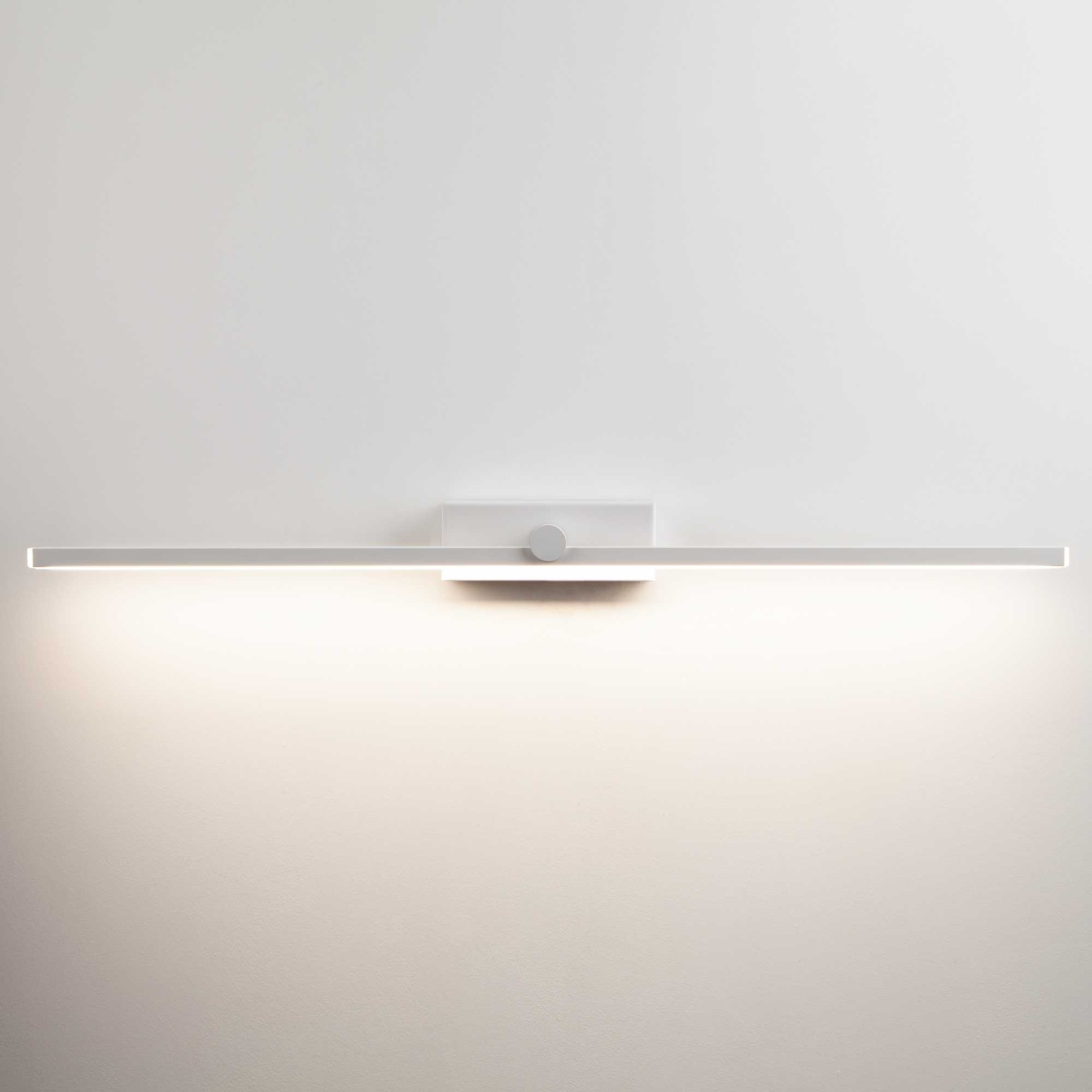 

Подсветка для картин Eurosvet 40134/1 LED Белая, 109542