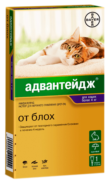 Капли от блох и вшей для кошек Bayer Адвантейдж, массой более 4 кг, 0,8 мл