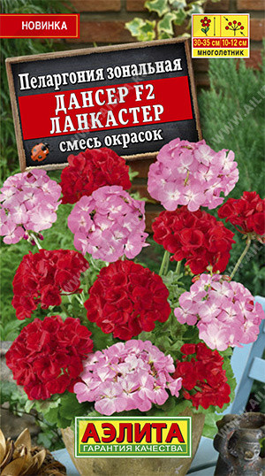 

Семена пеларгония Аэлита Дансер Ланкастер F2 00-00588941 1 уп.