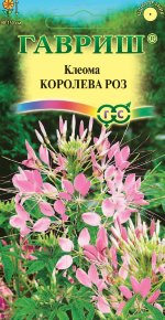 

Семена клеома Гавриш Королева роз 10001675 1 уп.